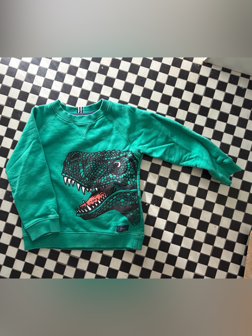 Joules Green Kids Dinosaur Sweatshirt, 4T